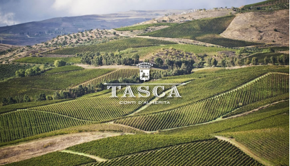 Tasca d’Almerita: vini sostenibili, senza paura di innovare